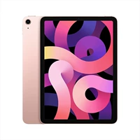 IPad Air4 [Pink]