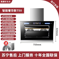 Интеллектуальная роскошь 750 двойной двигатель+Xiaozhi Sound Control+растяжка+установка самостоятельно