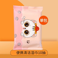 Pet Wet Photer 10 насос