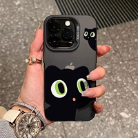 Зонд маленький черный кот