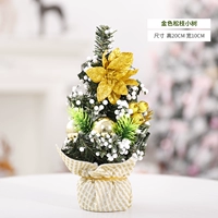 Золотая сосна ветвь Сяошу