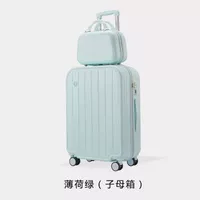 【917】 Правление голландской материнской коробки