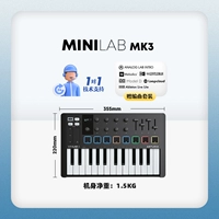 В небольшом портативном миниалле 3 черно -белых клавиши 25 клавиш [отправить учебник+Руководство+Массивные ресурсы]