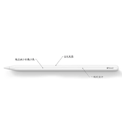 [Self -занятый] подходит Apple/Apple Apple Pencil (второе поколение)