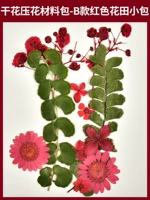 Набор материалов, красная небольшая сумка, 12 штук