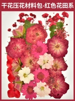 料 Сухой цветочный давление цветочный материал мешок-29