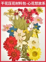 料 Сухое цветочное давление цветочное материал мешок-35 цветение цветение цветение