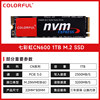 CN600 1TB Standard Edition