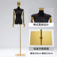 Golden Fang Board+Black Wome Model с рукой