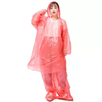 Set (Top+Pain Brants) Красный набор