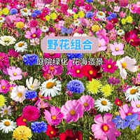 Комбинация Four Seasons Wild Flower [половина фунта]