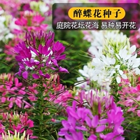 200 кусочков пьяных цветов бабочки [купить 2 получить 1 бесплатно]