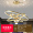 Алюминий Золотой 3 круга 3 шара (60 + 80 + 100CM) + Триколор Безполюсное дистанционное управление