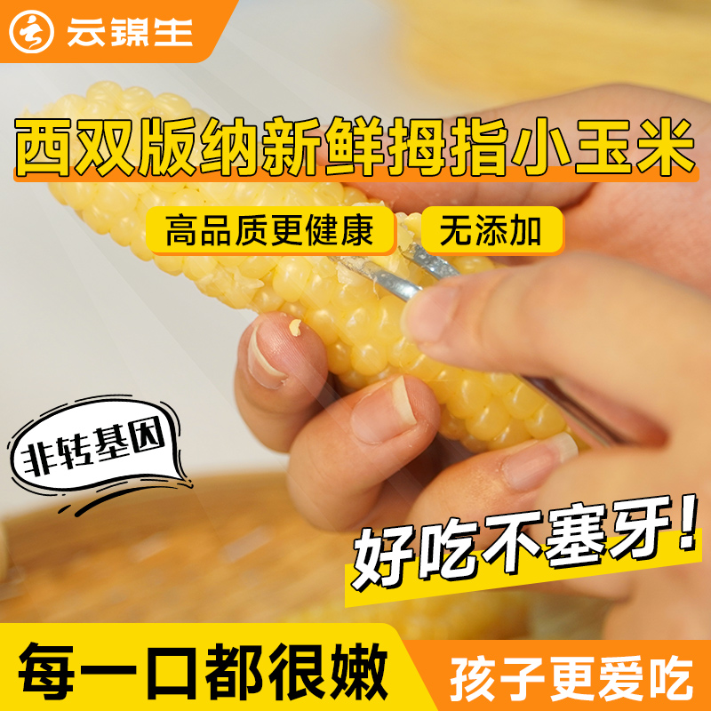 云锦生西双版纳拇指玉米1kg