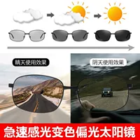 Переходя к цвету дневное и ночное использование [очки]