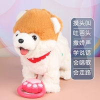 [Bomei Dog] Облизывая собаку, коснулся головы и научился говорить+музыку