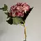 cúc họa mi giả hoa cẩm tú cầu Hoa cẩm tú cầu Bắc Âu hoa cẩm tú cầu ngắn đơn hoa cẩm tú cầu mới hoa cẩm tú cầu đám cưới dây hoa giả các loại lan giả hạc rừng Cây hoa trang trí
