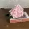 lan hồ điệp giả Ins internet người nổi tiếng hoa cẩm tú cầu mô phỏng hoa phong cách mới đơn giản Châu Âu tròn hoa cẩm tú cầu vỡ chất lượng cao hoa cẩm tú cầu đám cưới Bắc Âu nhà hoa giả giá rẻ lá cây giả Cây hoa trang trí