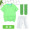 Светло - зеленые шорты для мужчин и женщин