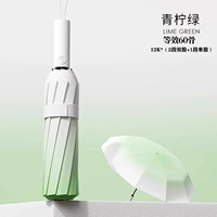 Градиент Минт Зеленый [60 Стекловолокно зонтичные кости ⭐enlarge Усиление