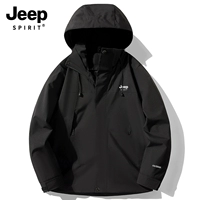 Женский черный [одиночное пальто]