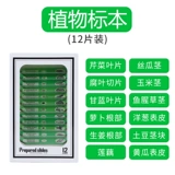 Детский микроскоп для школьников, профессиональная портативная игрушка, комплект для экспериментов для детского сада, наука, увеличение в 1200 раз, оптика