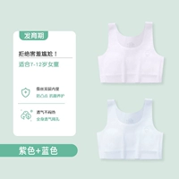 Purple + Blue [шелковое внутреннее качество класса A]