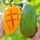 大青芒芒果【带箱5斤大果单果400g+】