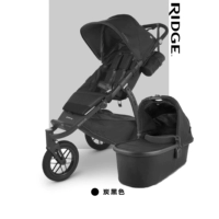 Элегантный черный Джейк со спящим голубым новорожденным-6 лет-6 лет