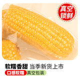 黄糯玉米真空包装10根共约2300g券后14.9元包邮