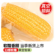 黄糯玉米200g-260g*10根独立包装
