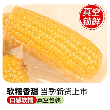 黄糯玉米200g-260g*10根独立包装