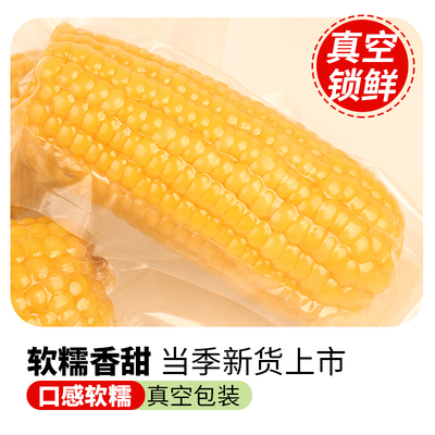应季黄糯玉米真空包装黑糯玉米