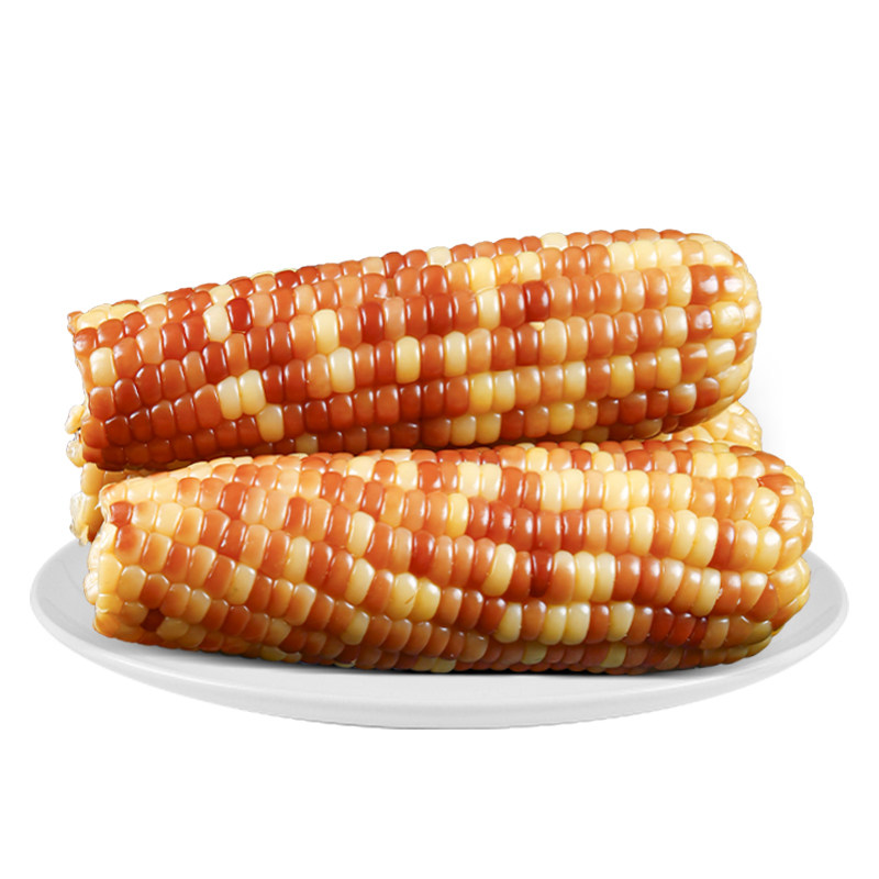 岁浓东北黄糯甜玉米有机甜糯玉米新鲜糯玉米真空包装大棒低脂代餐