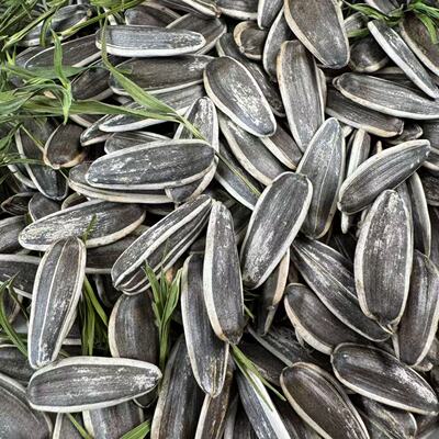 2026年3月21日更新【万能白菜价】的图片 第3张