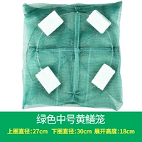 Scutellaria Cage Medium (зеленый)