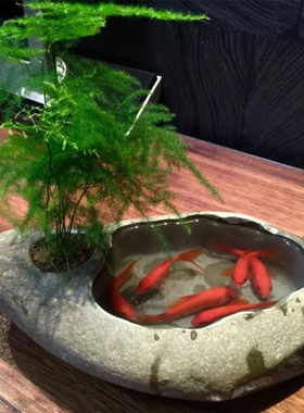 爱逛街为您找到水槽鱼缸相关的宝贝,您可以在下面的板块中挑选喜欢的