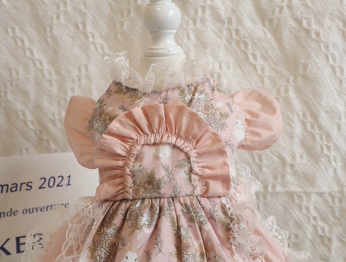 Оу новая домашняя собачья собака для кружевного плать