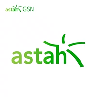 Официальное подлинное программное обеспечение ASTAH GSN Стандартное программное обеспечение системы безопасности системы