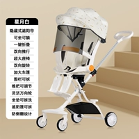 Xingyue Bai+Sunfan Curse+тип ноги+два -места сиденья