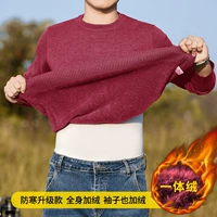 Jujube красный [один -один бархат