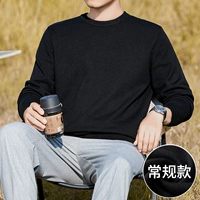 Черный (обычная модель)