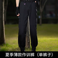 Летние рабочие штаны