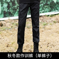 Зимние брюки