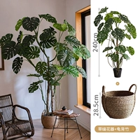 Соломенный, 28.5см, 240см