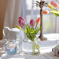 【Установить группу】 Солнечная бутылка+PLEL Purple 1 Bunch [Горячие продажи]