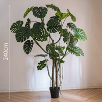 Черепаха бамбук (высота 240 см)