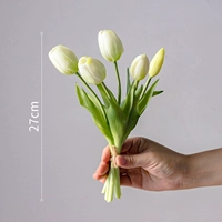 5 голова белая и зеленая ручка тюльпана [увлажняющее ощущение]