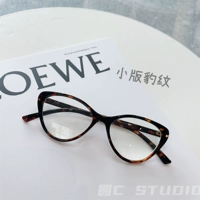 Небольшая версия леопарда