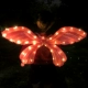Свечая бабочка среднего размера порошок крыла